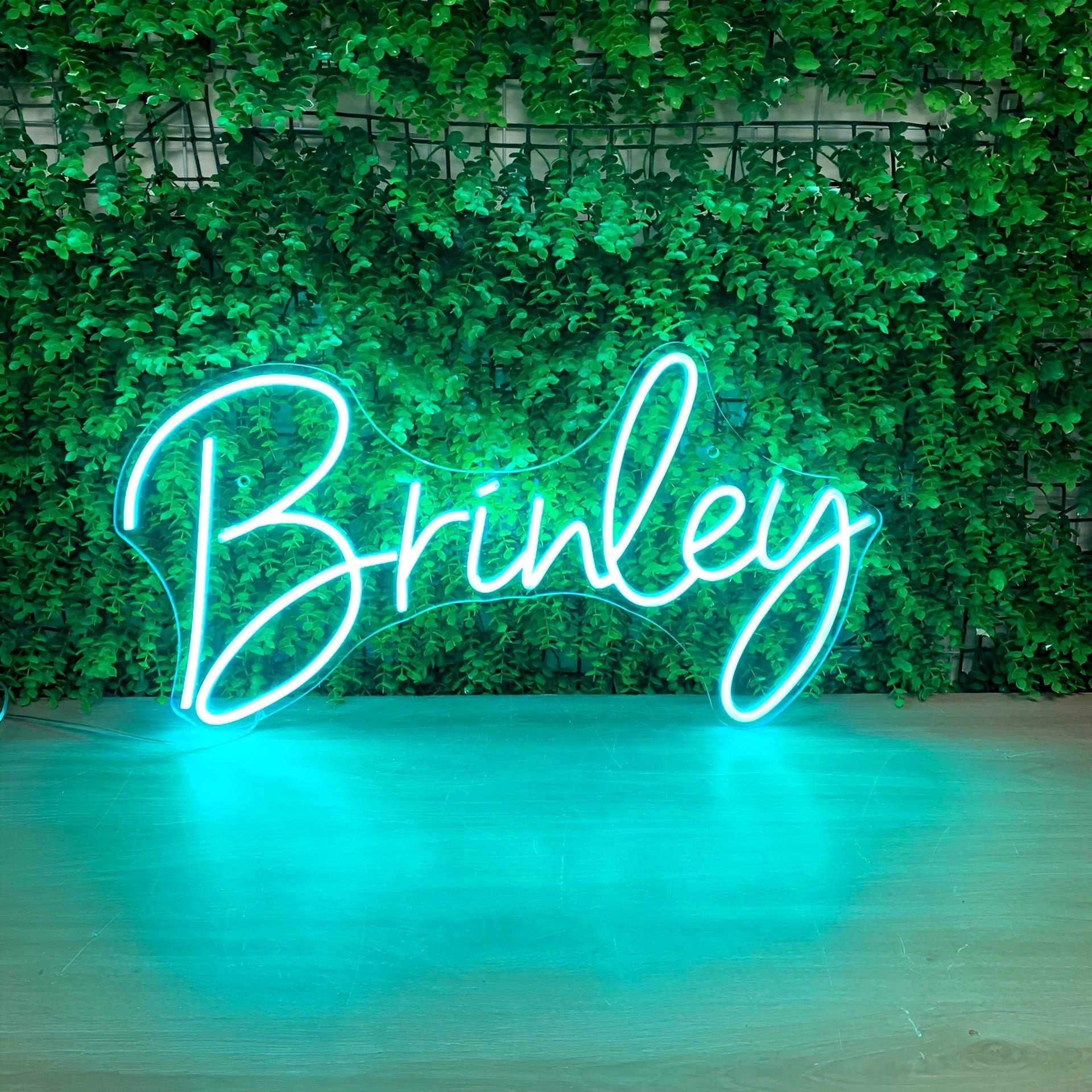 LED Neon Sign